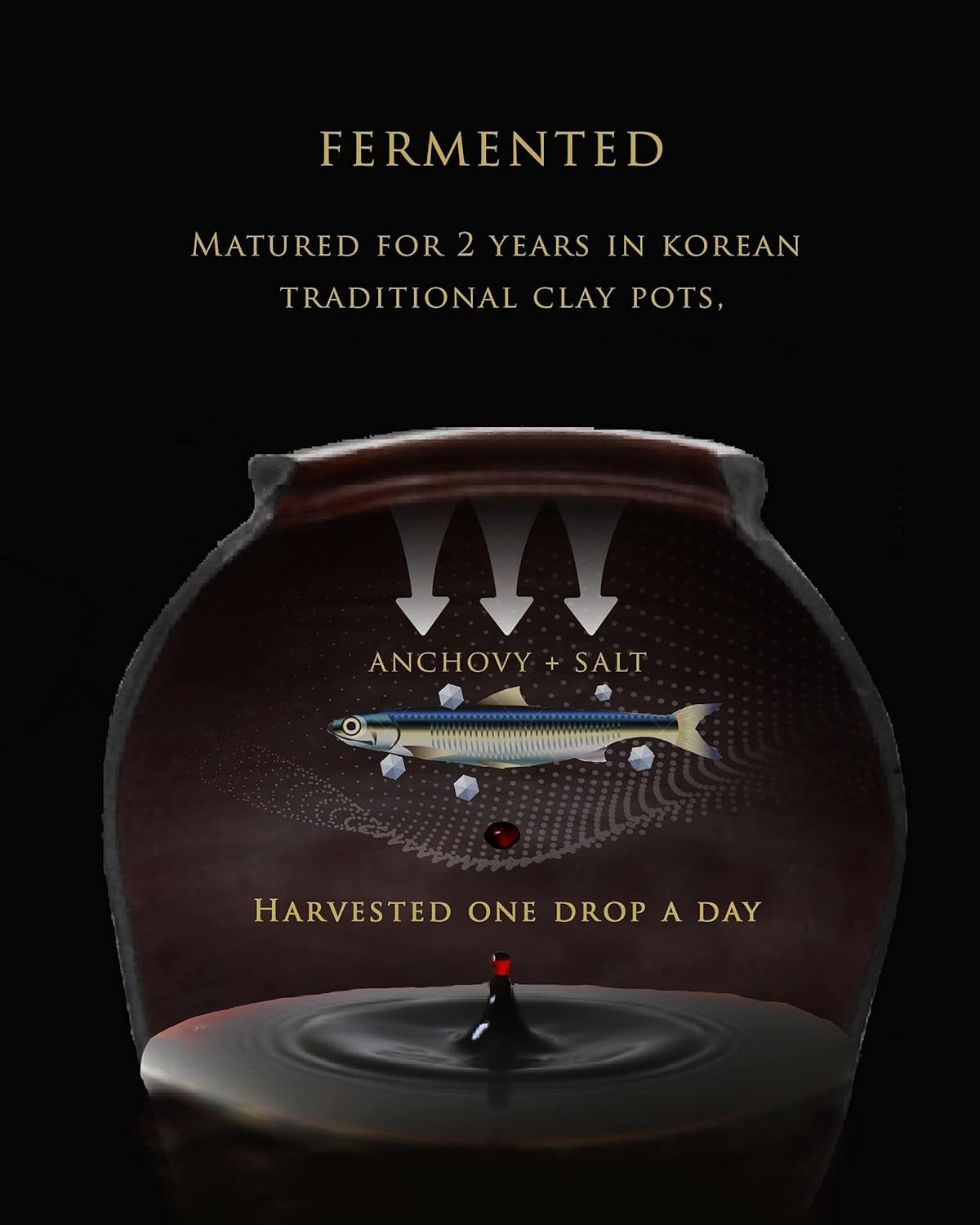 Wangshin Fish Sauce (5 Fl Oz/Aged 2 Years) - Anchovy and Salt Fermented in a Korean Traditional Clay Pot - Image 3