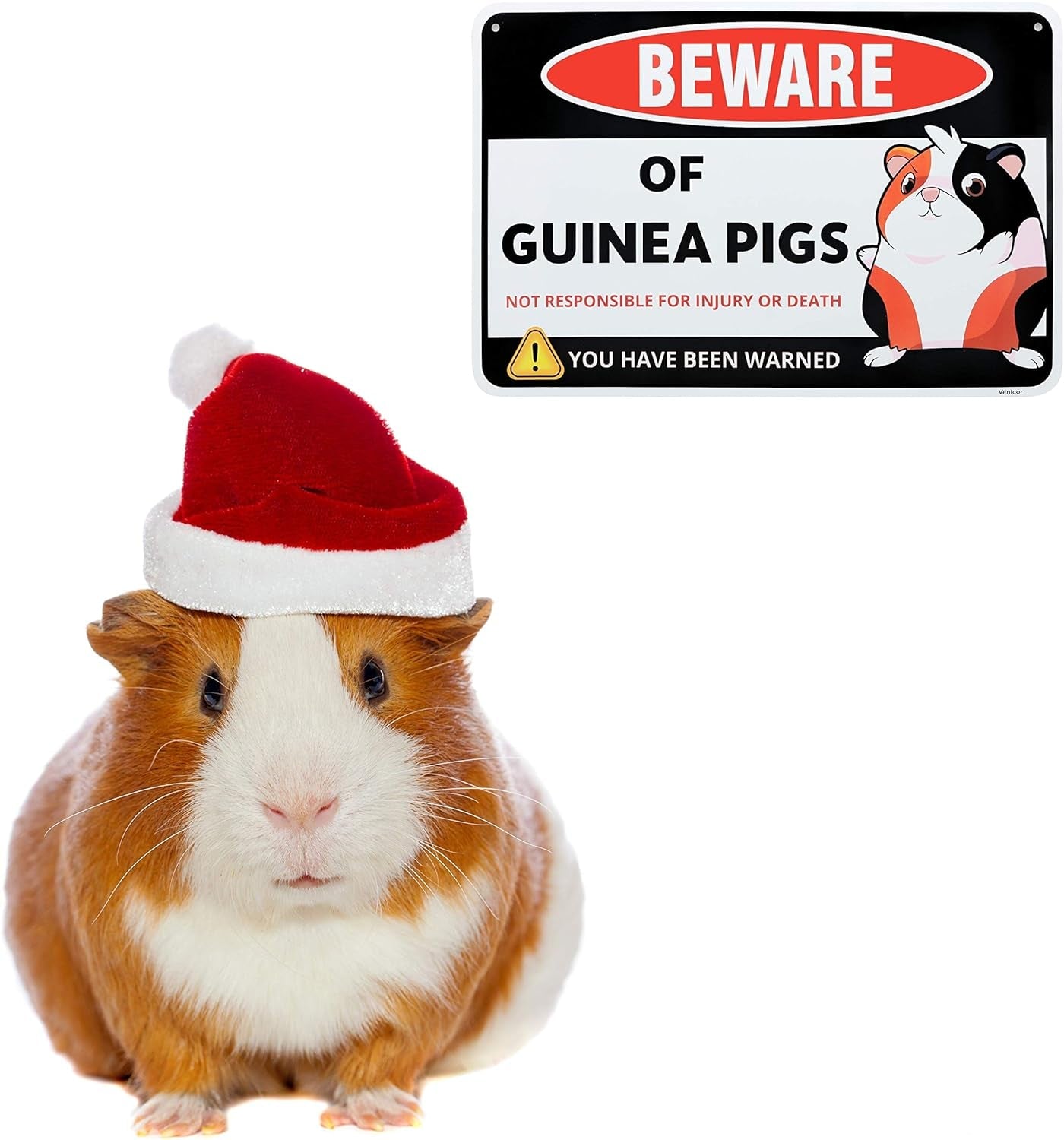 Guinea Pig Sign Decor - 8 X 12 Inches - Aluminum - Guinea Pig Gifts for Guinea Pig Lovers - Cage Accessories Toys Stickers Stuff - Image 6