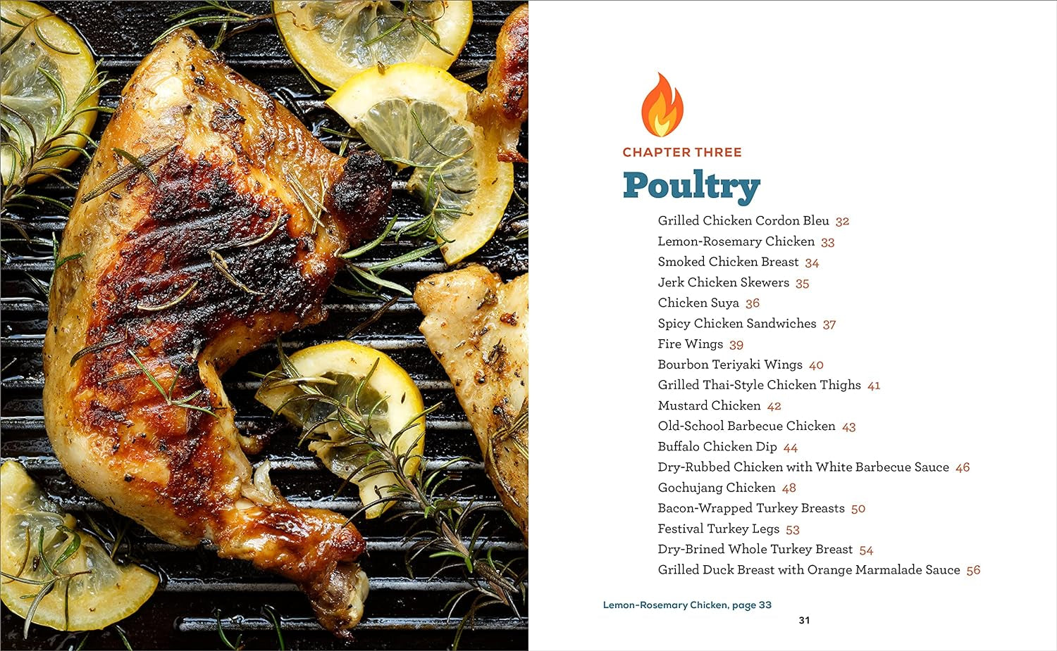 Ultimate Grilling Cookbook: Everything You Need to Know to Master Your Gas or Charcoal Grill - Image 6