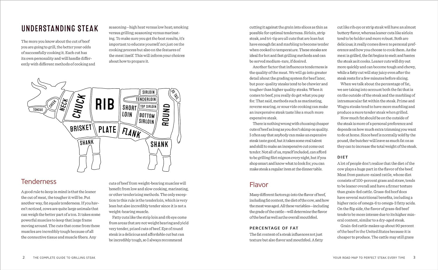 The Complete Guide to Grilling Steak Cookbook: Master the Cuts. Rubs. and Grilling Techniques - Image 5