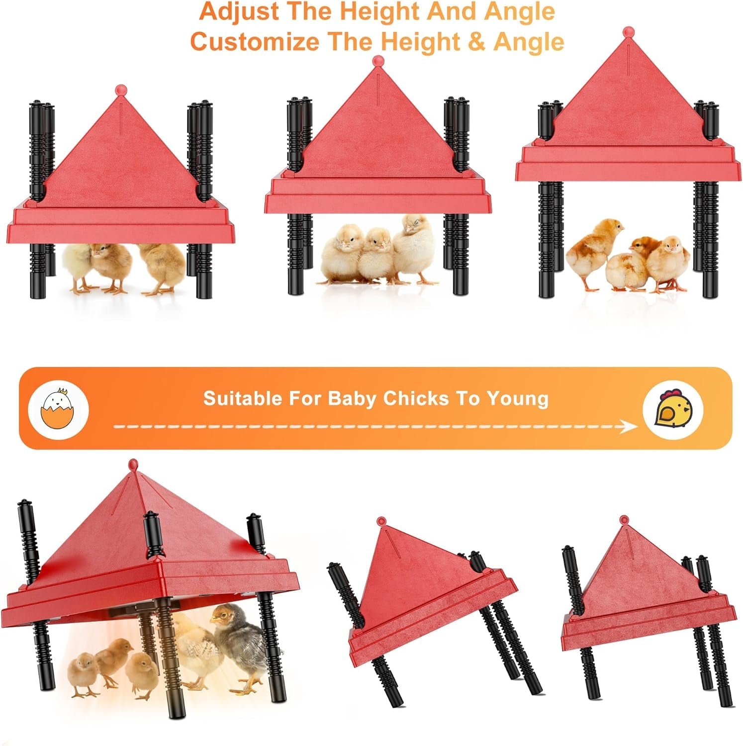 Brooder Plate for Chicks. 10 X 10 Chick Brooder Heater with Anti-Roost Cone Red - Image 5