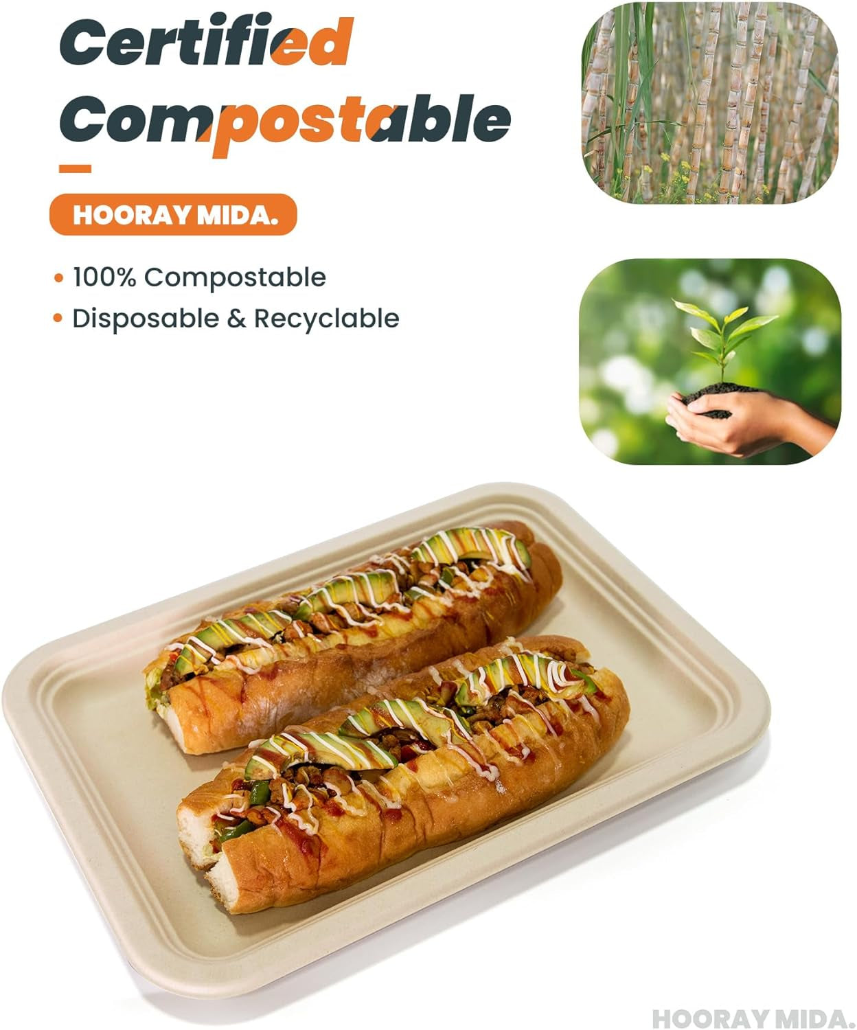 50 Pack 14 Inch Disposable Food Trays. 100% Compostable Heavy-Duty Food Serving Trays. Extra Large Paper Platter Trays for Crawfish Seafood BBQ Party and Holiday Feast - Image 4