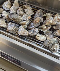 TEC Grills:  G-Sport Infrared Smoker/Roaster  : G-Sport Accessories