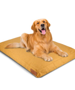 Dog Bed