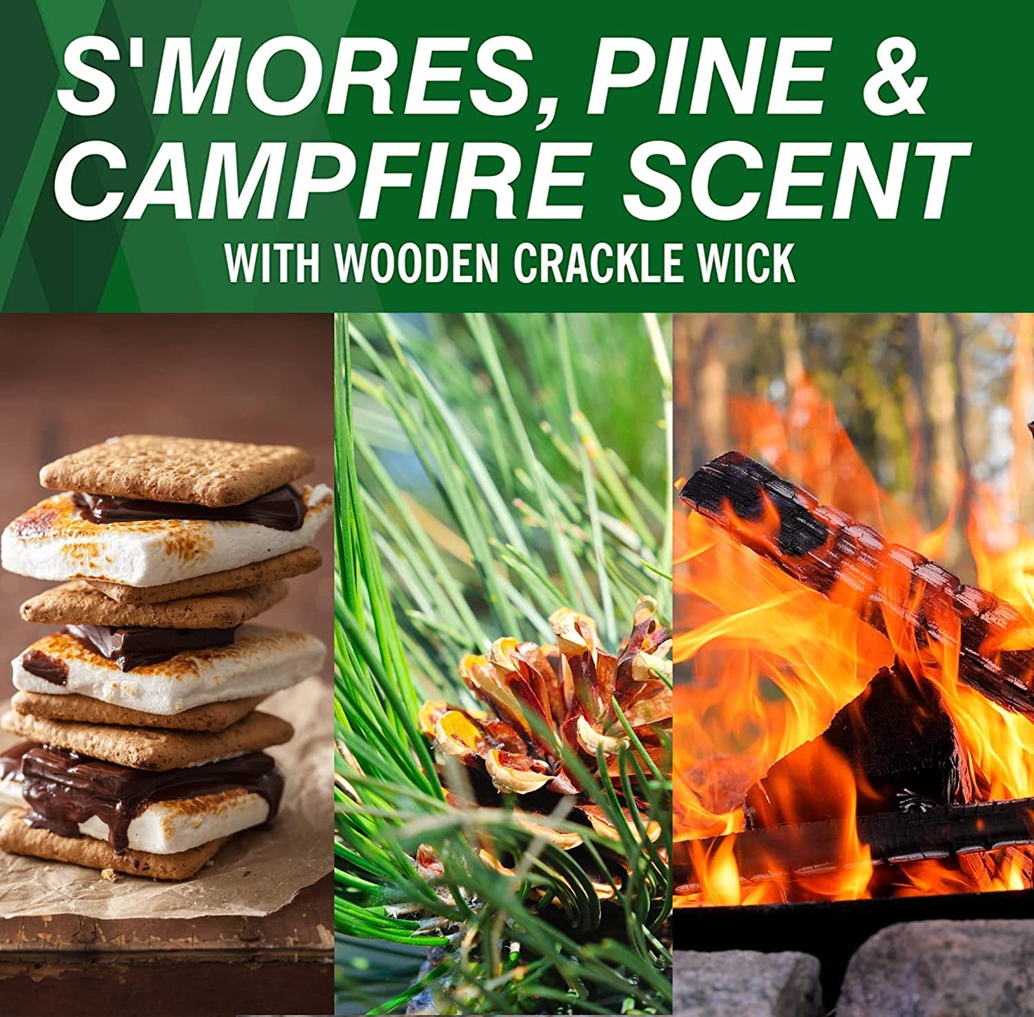 Coleman Scented Tin Citronella Candle - 3 Pack. S'Mores. Pine and Campfire - Image 4