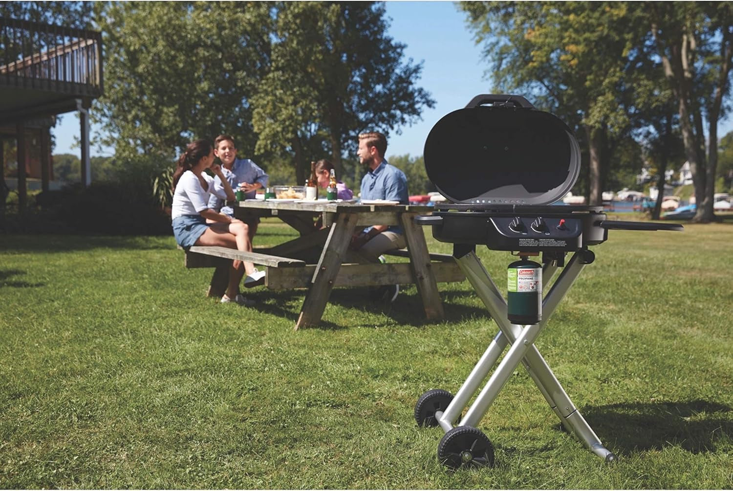 Coleman Roadtrip 225 Portable Stand-Up Propane Grill Gas Grill with Push-Button Starter Folding Legs & Wheels Side Table & 11000 Btus of Power for Camping Tailgating Grilling & More - Image 8
