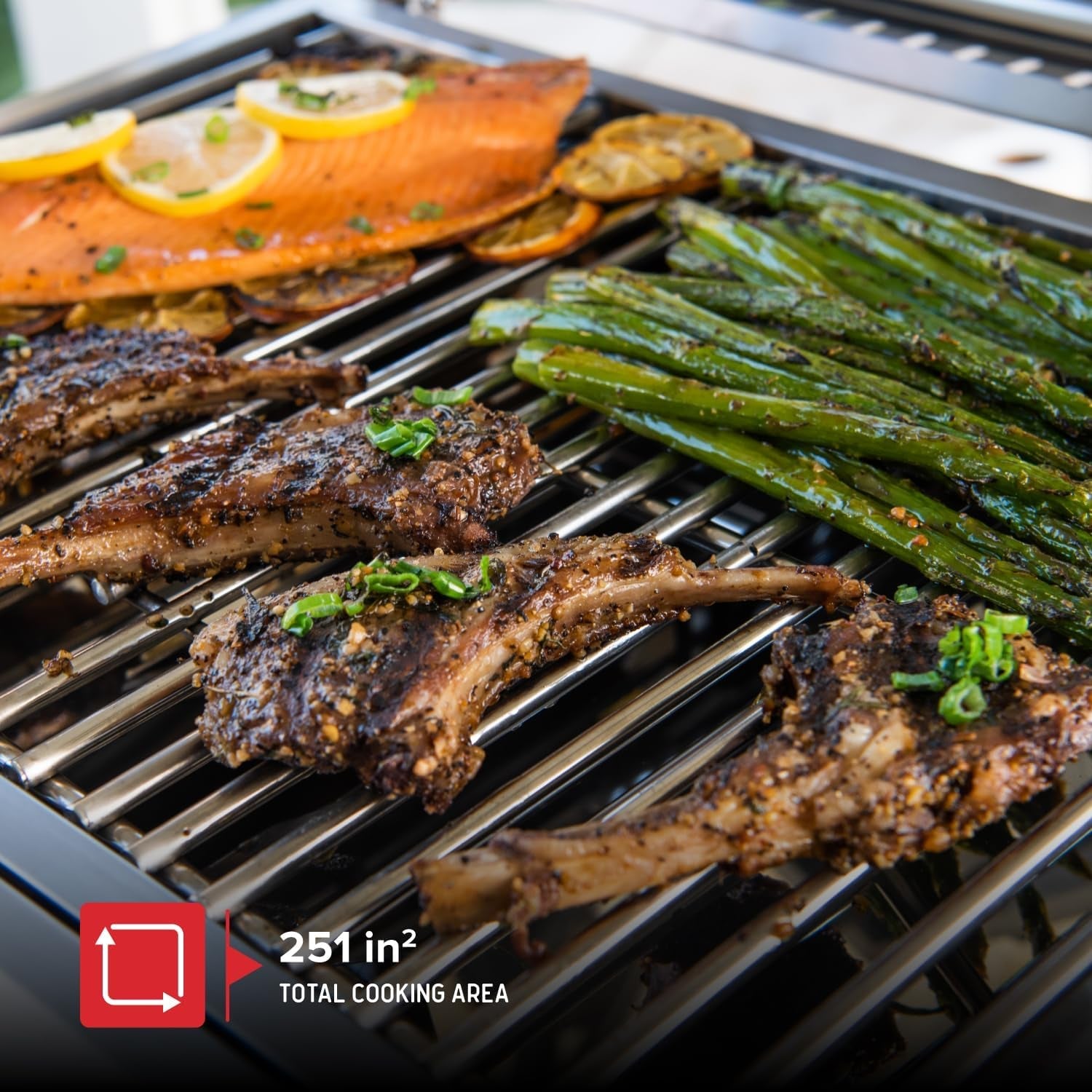 Nexgrill Stainless Steel 2-Burner Portable Gas Grill with Locking Lid. Folding Legs. 20.000 Btus. 251 SQ in Cooking Space. Tabletop Grill for Camping. Outdoor Cooking. Patios. and More - 820-0007GE - Image 3