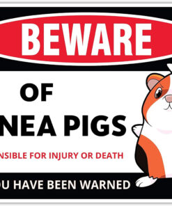 Guinea Pig Sign Decor - 8 X 12 Inches - Aluminum - Guinea Pig Gifts for Guinea Pig Lovers - Cage Accessories Toys Stickers Stuff