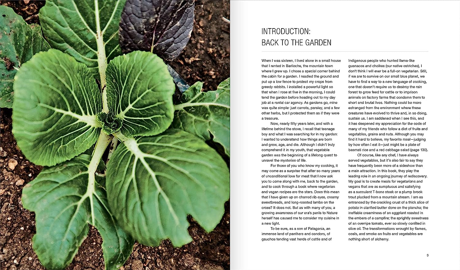 Green Fire: Extraordinary Ways to Grill Fruits and Vegetables. from the Master of Live-Fire Cooking - Image 3