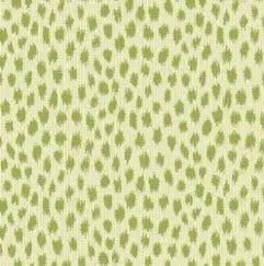 Casual Cushion Dining Seat Cushion in Agra Cactus