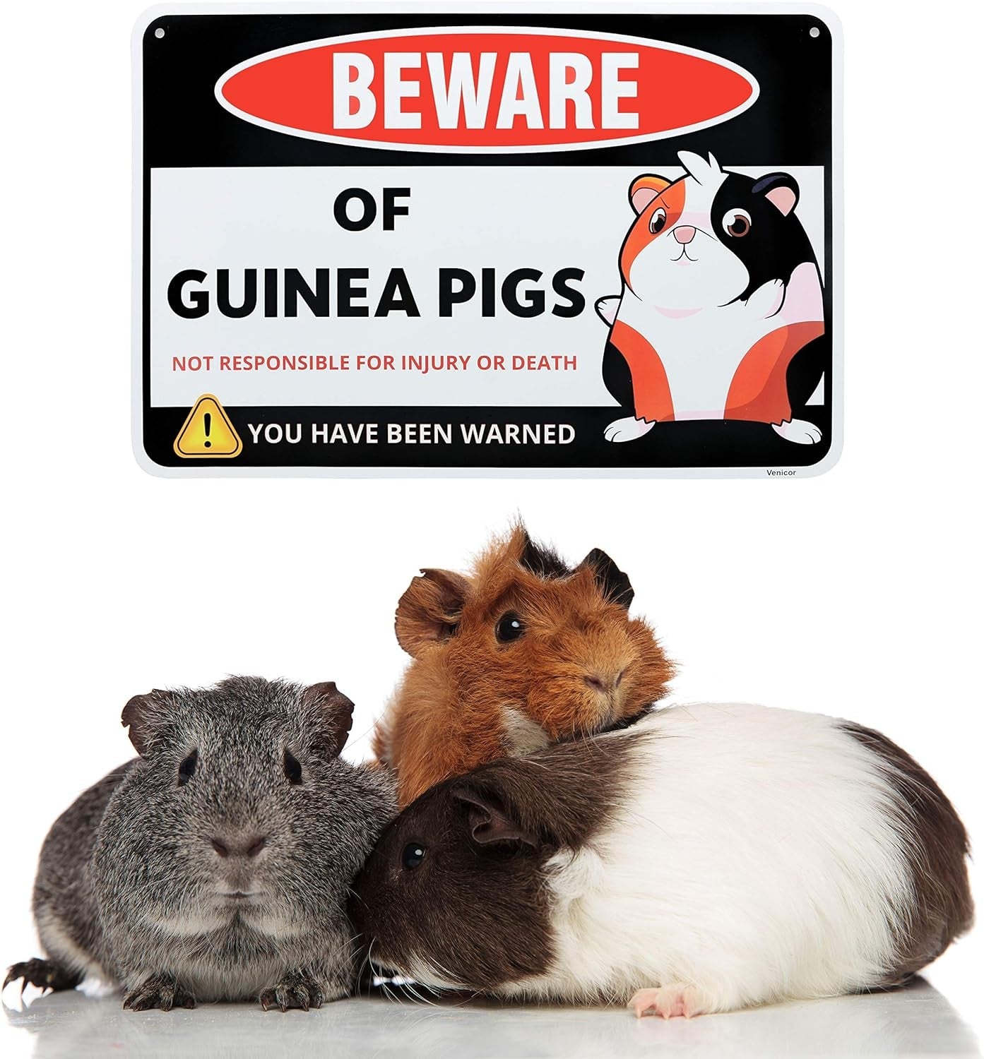 Guinea Pig Sign Decor - 8 X 12 Inches - Aluminum - Guinea Pig Gifts for Guinea Pig Lovers - Cage Accessories Toys Stickers Stuff - Image 4