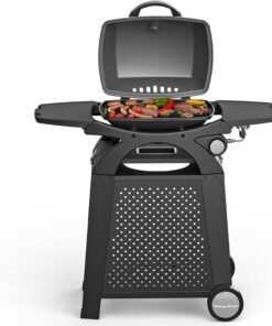 MASTER COOK Propane Gas Grill. Portable Tabletop Barbecue Grill with Cart for Patio. Camping. Travel