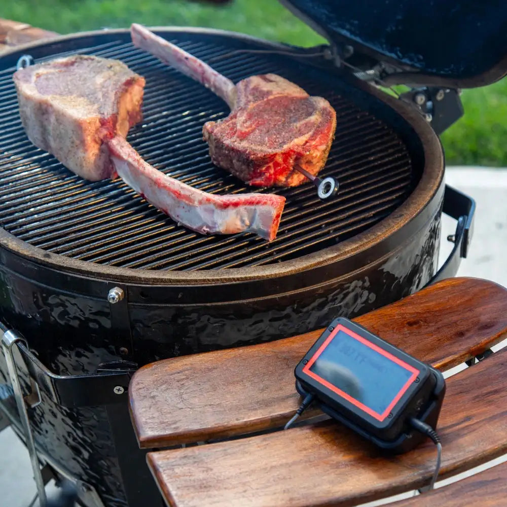Fireboard Pulse Wireless Meat Thermometer - Image 5