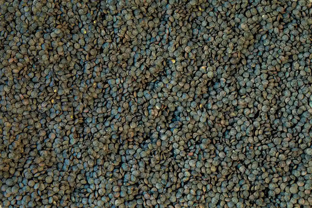 Rancho Gordo French Style Green Lentils - Image 5