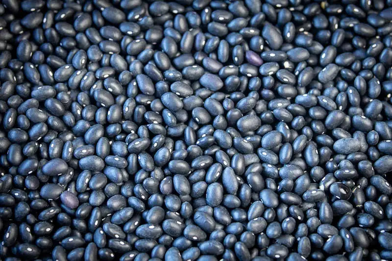 Rancho Gordo Midnight Black Beans - Image 5
