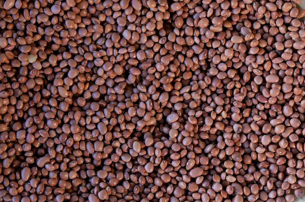 Rancho Gordo Santa Maria Pinquito Beans - Image 6