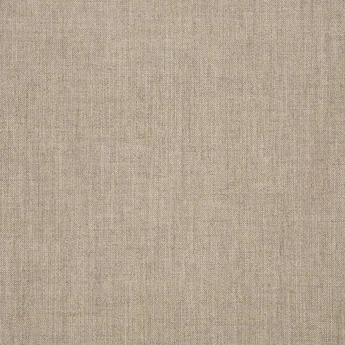 Ratana Boston Dining Arm Chair with Cash Ash Cushions - Image 5